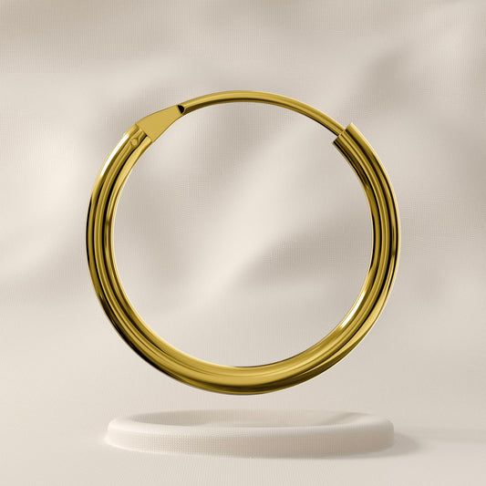 Violet - 9K Gold Hinged Nose Ring
