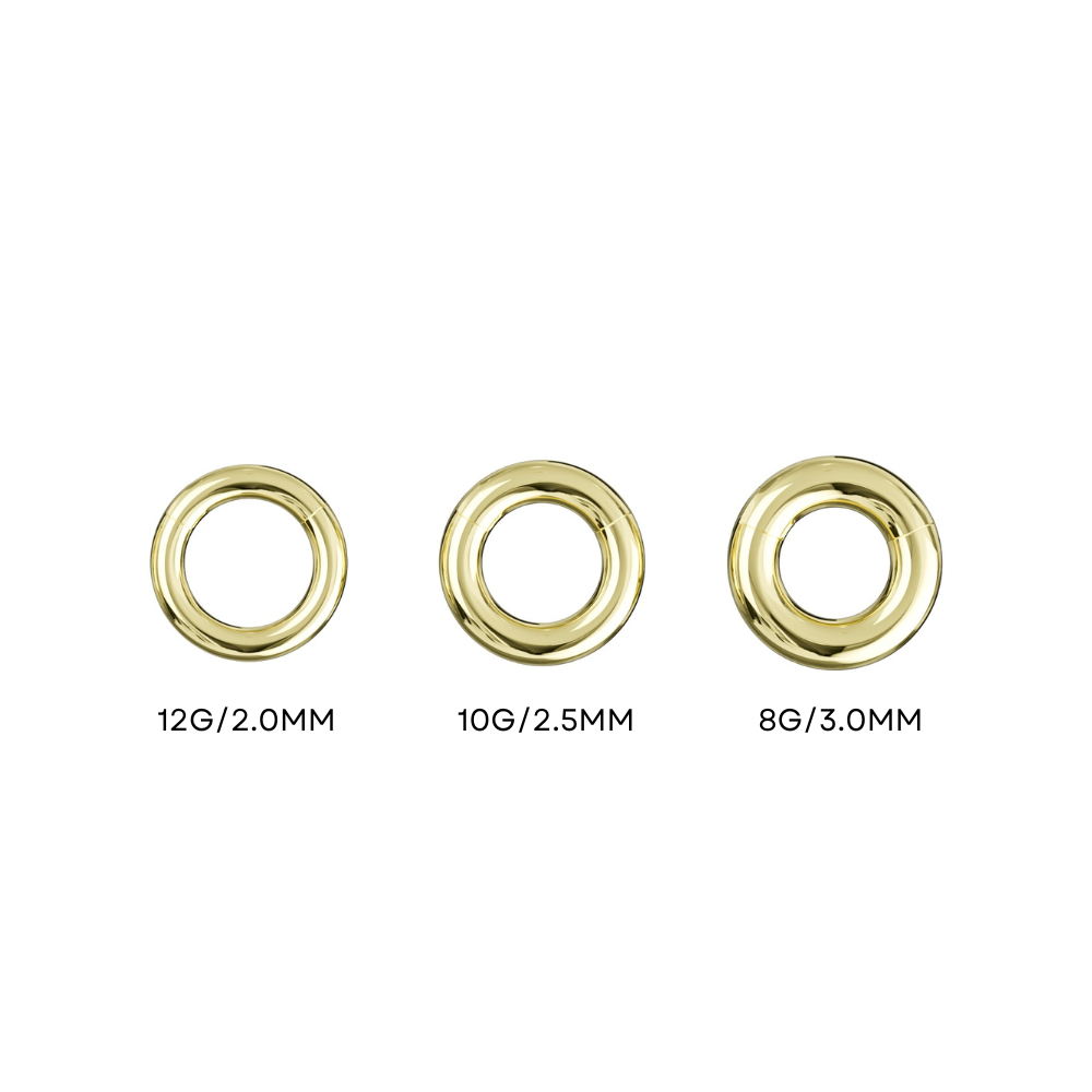 G23 Grade Titanium Heavy Gauge Classic Hinged Segment Clicker Ring - Monster Piercing